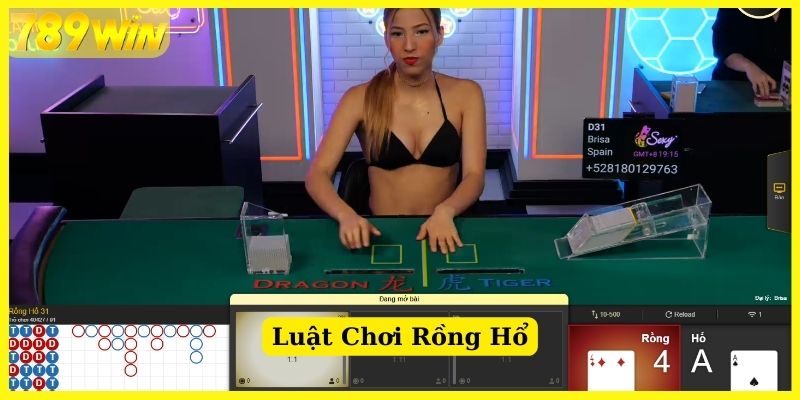 Luật chơi chi tiết của Rồng Hổ 789Win